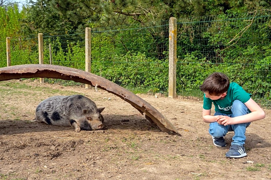 Logements insolites à la ferme - Yourte, Kota ou Pod