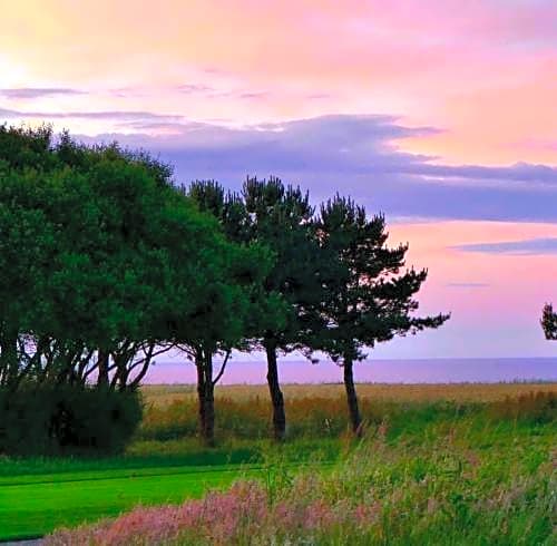 Normandy's Green by the Sea