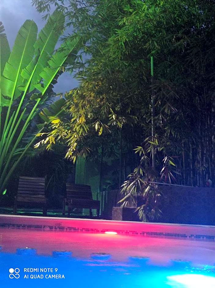 Palmas de Chahue