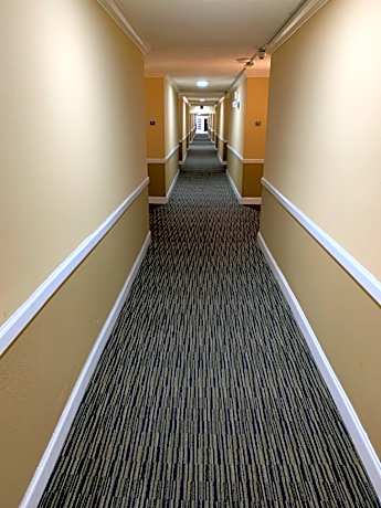 Studio Suite with Two Queen Beds - Non-Smoking