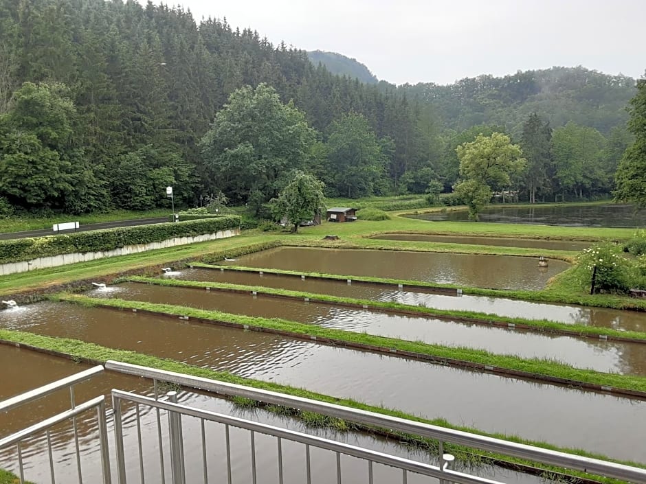 Zimmer ohne Frühstück in der Forellenzucht