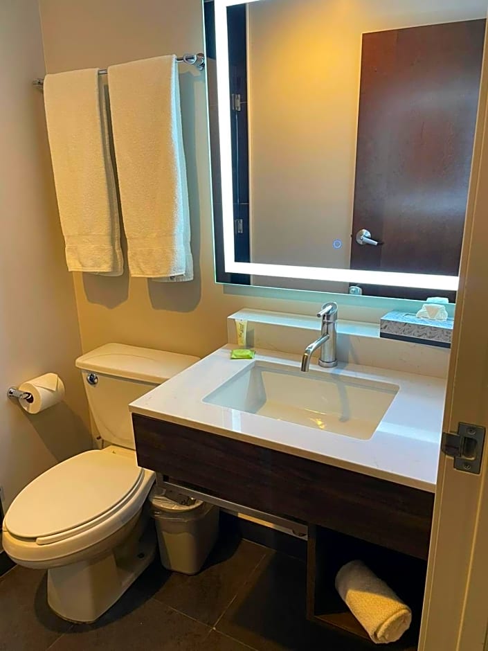 Holiday Inn Express Mexico City Satelite By IHG