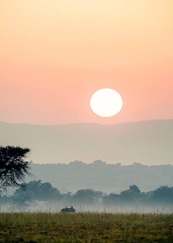 African Hills Safari Lodge & Spa