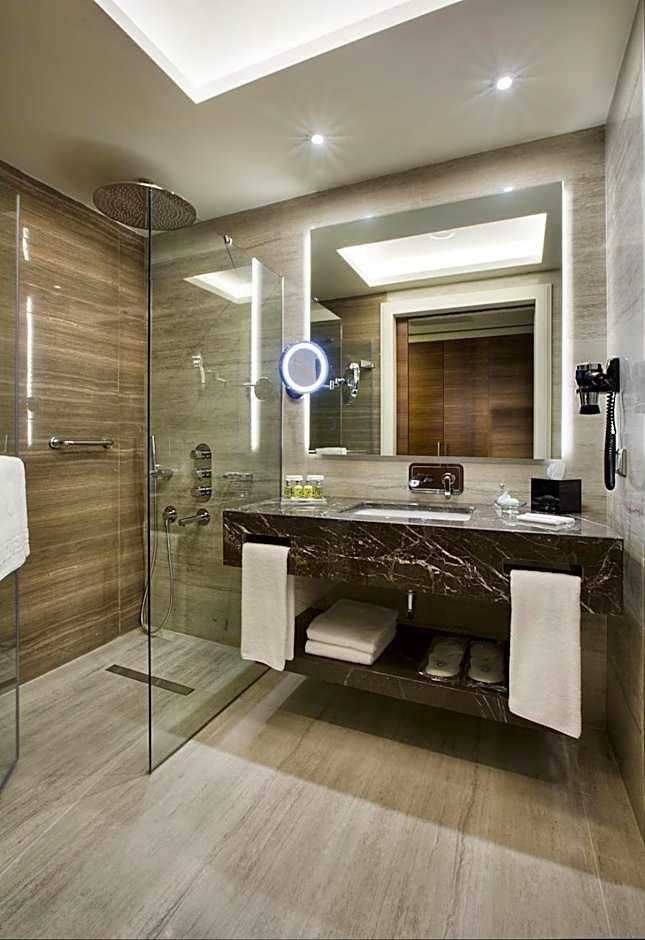Dedeman Bostanci Istanbul Hotel & Convention Center