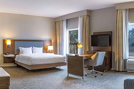 1 King Suite W/Sofabed Nonsmoking