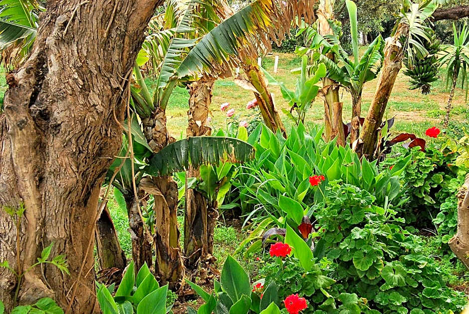 Hotel Marina Village