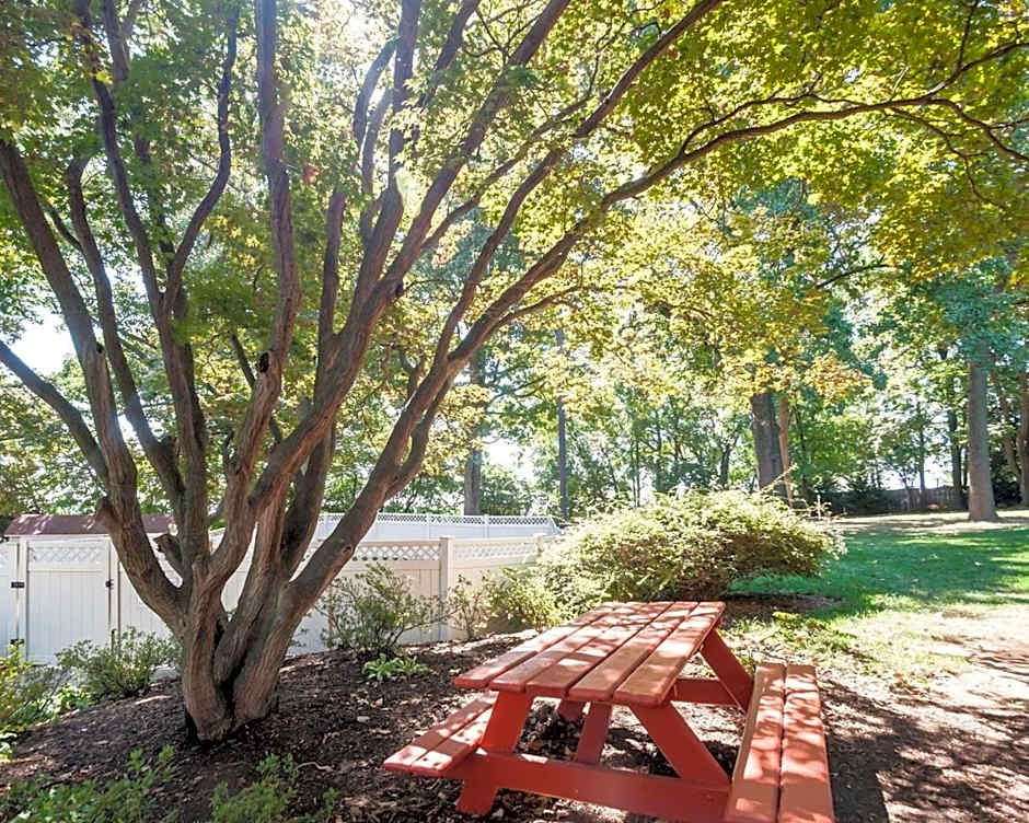 Comfort Inn Shady Grove - Gaithersburg - Rockville