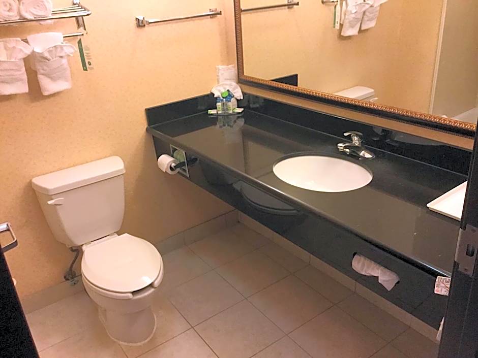 Holiday Inn Express And Suites Longview South I20 By IHG