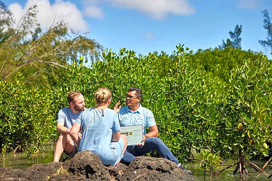 Lagoon Attitude (Adults Only)