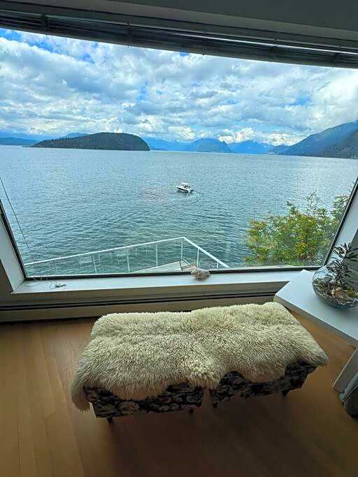 Dream House -Water Lily