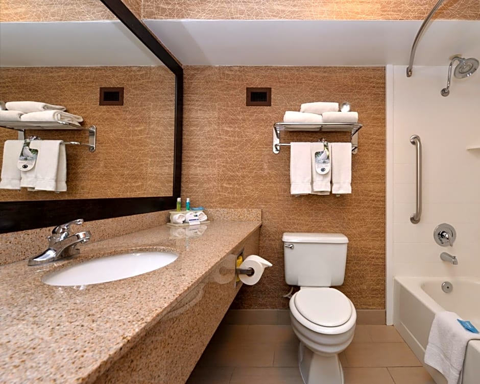 Holiday Inn Express Flagstaff, an IHG Hotel