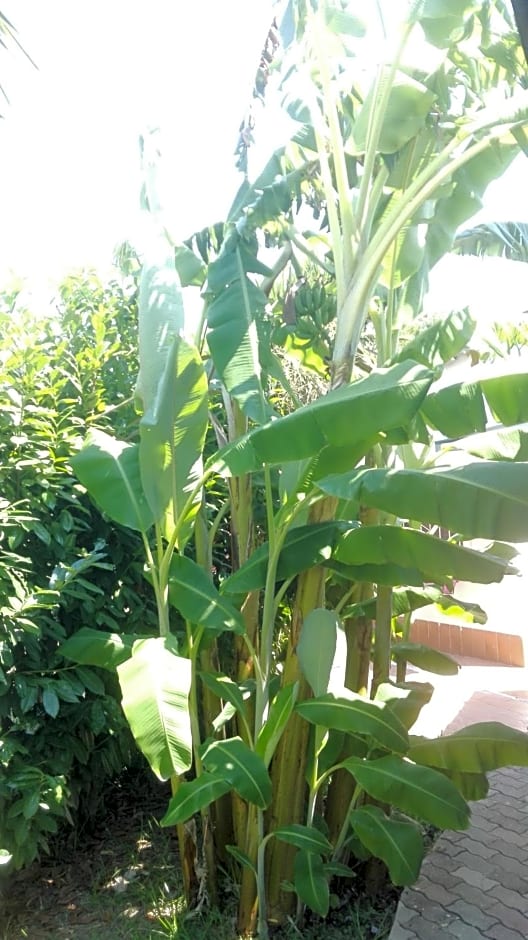 B&B Villa Di Bartolomeo