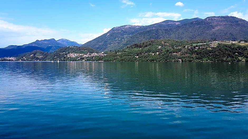 Nature Bio Hotel Elite