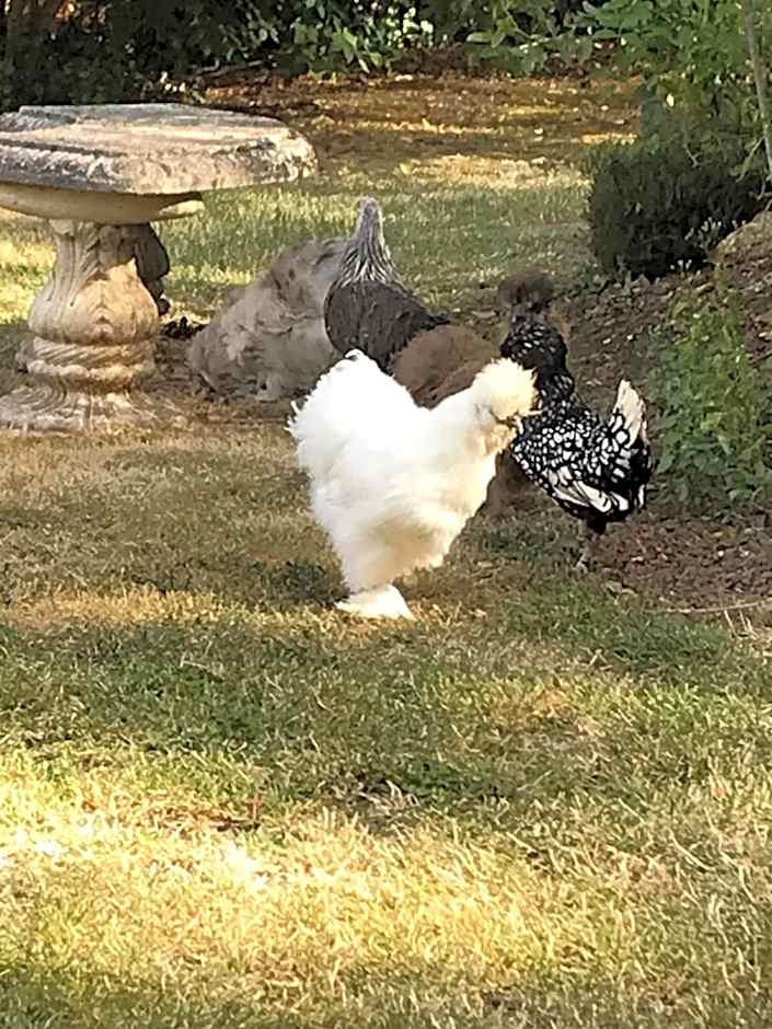 Manoir des Lions de Tourgéville