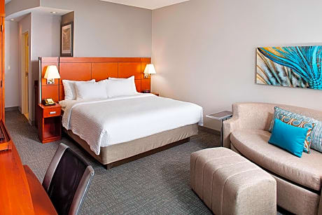 Suite, 1 King Bed with Sofa bed, City View (1 King Bed and 1 Double Sofa Bed)