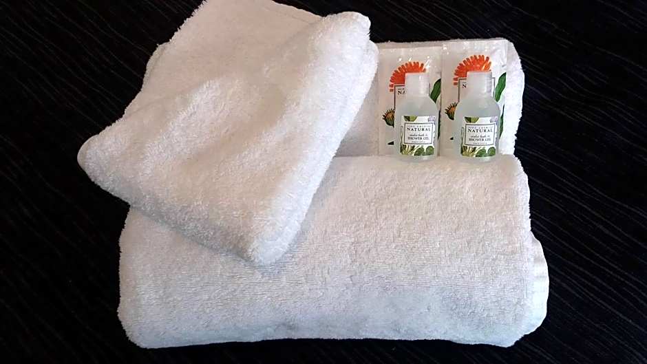 Baden Lodge Motel - PRIVATE SPA Bath