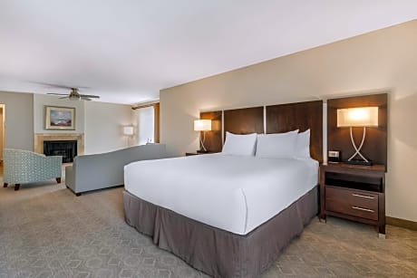 1 King Bed, Non-Smoking, Oversized Room, Balcony, Fireplace, High Speed Internet Access, Refrigerato