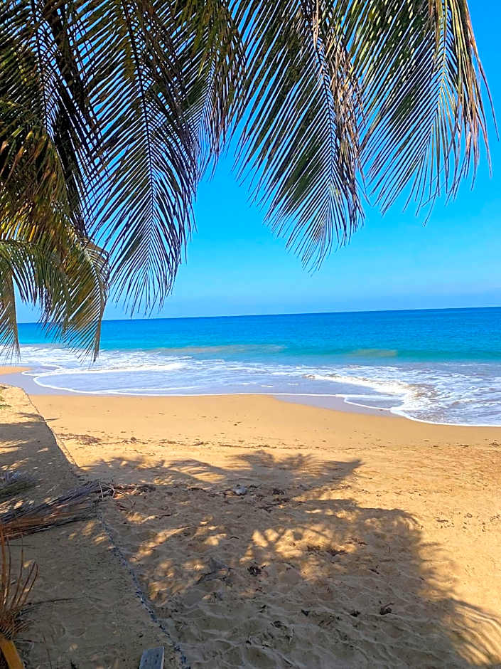 Auberge K-WAN Hostel - Proche Plages