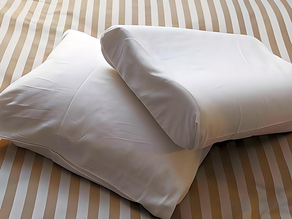 HOTEL MYSTAYS Ueno-Inaricho