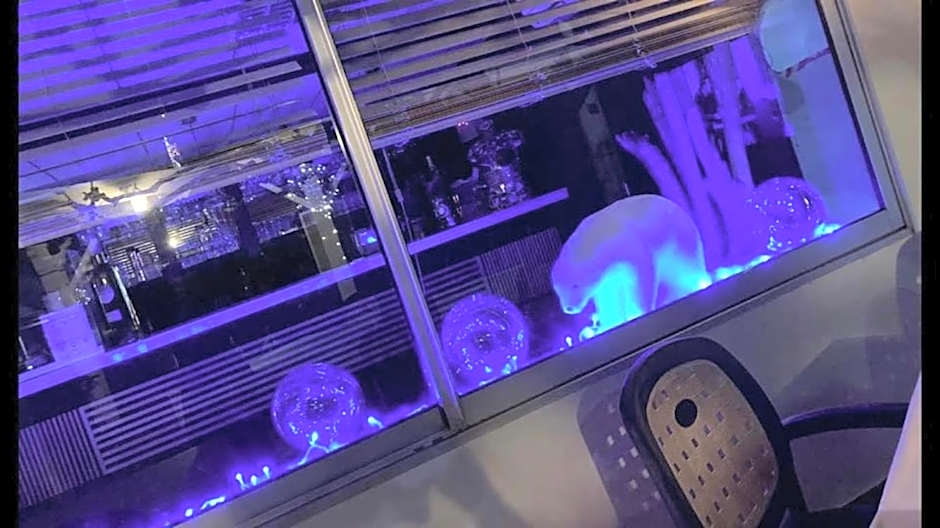 Hotel De La Mer - Le Barcarès