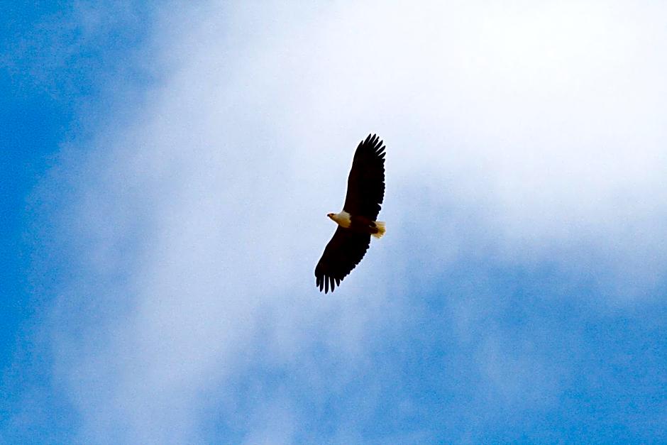 Inverdoorn Game Reserve Lodge