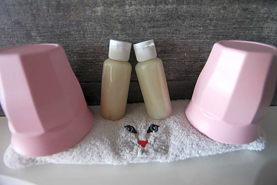 Le chat botté77