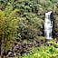 The Inn at Kulaniapia Falls
