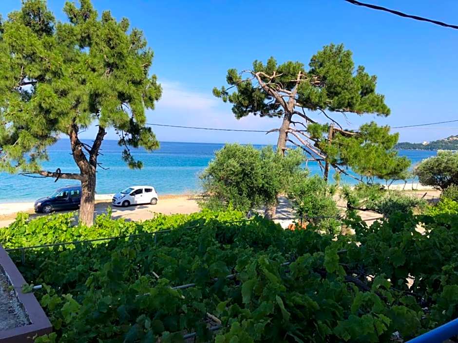 Akrogiali Studios