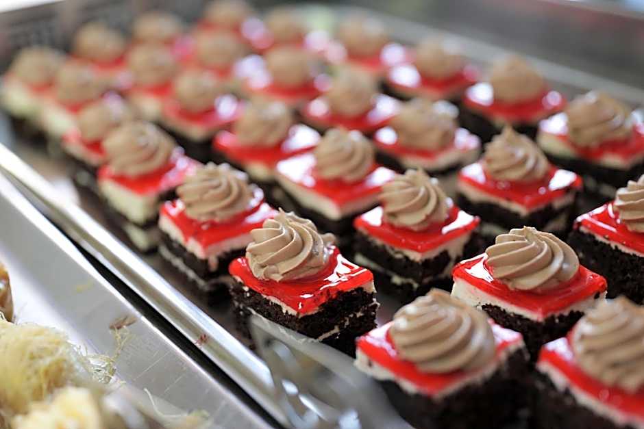 Diogenis Blue Palace