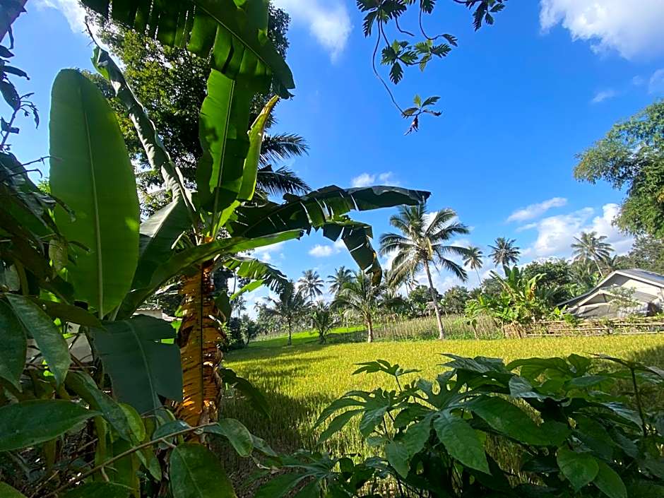 Pondok rinjani bungalow tetebatu