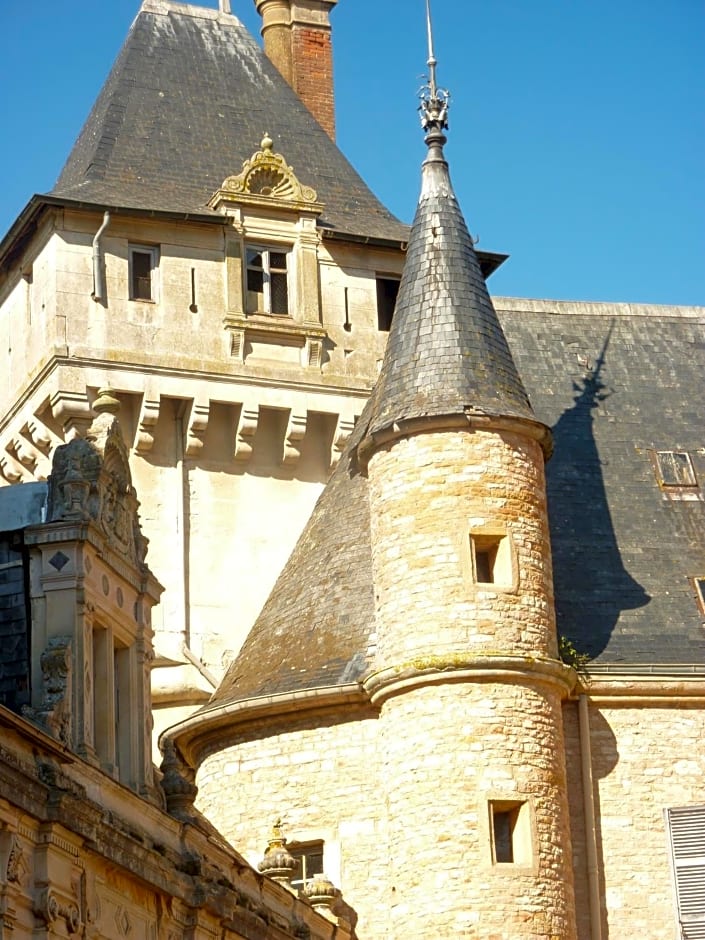 Chateau de Bresse sur Grosne