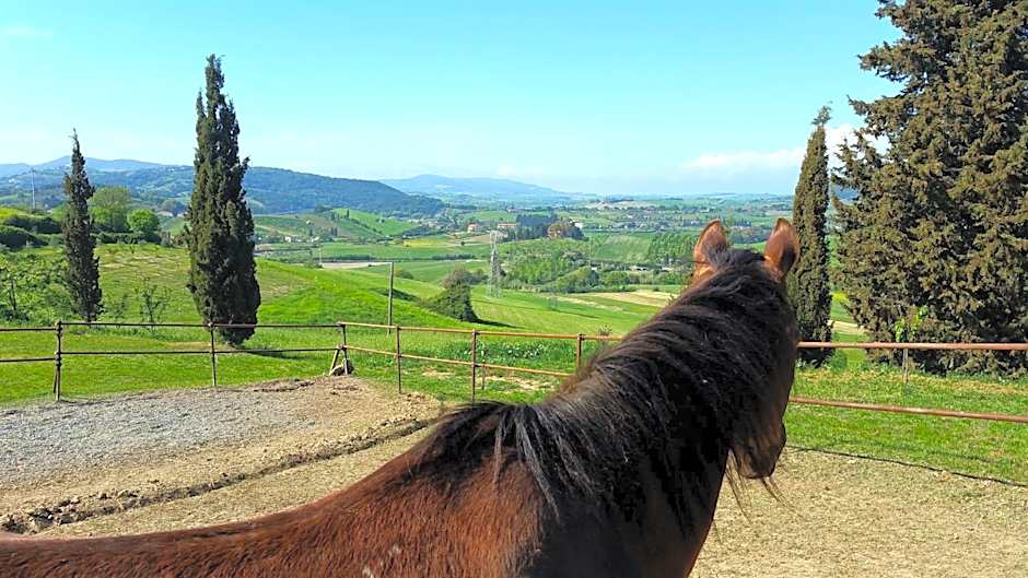 B&B Il Poggio di Fiore