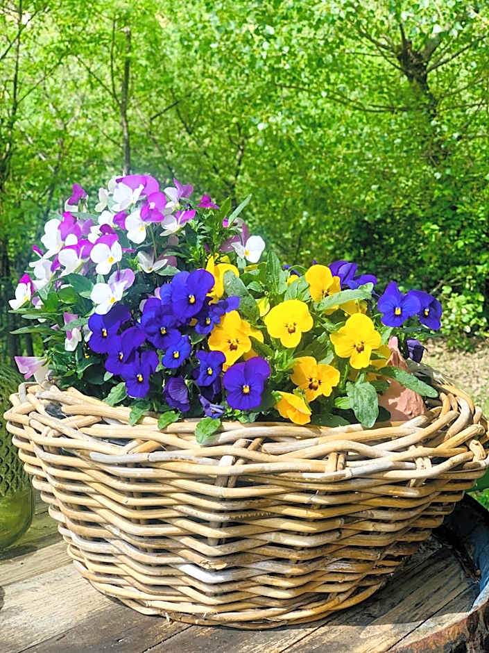 Tannerhof Bed & Breakfast