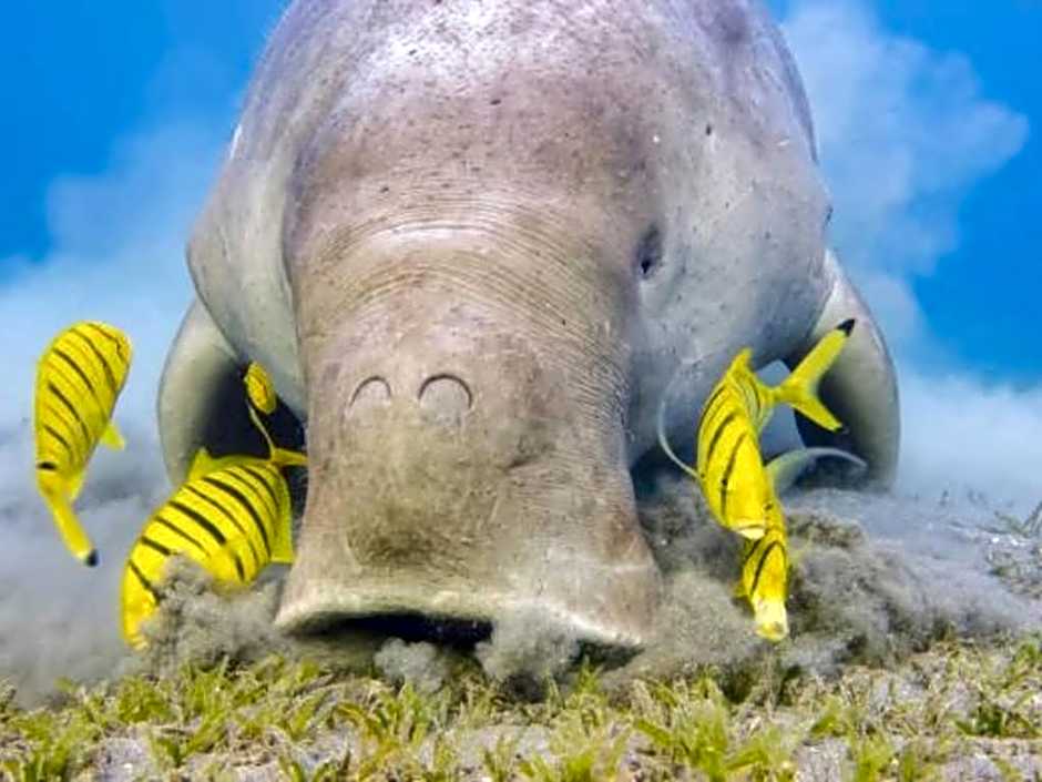 Oyster Bay Beach Suites