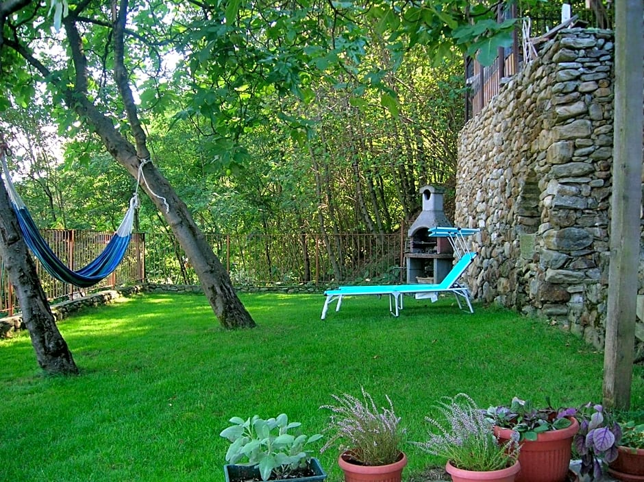 Photo 1 of 50 of B&B Al Carotin
