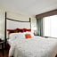 Hotel Indigo Chicago-Vernon Hills, an IHG Hotel