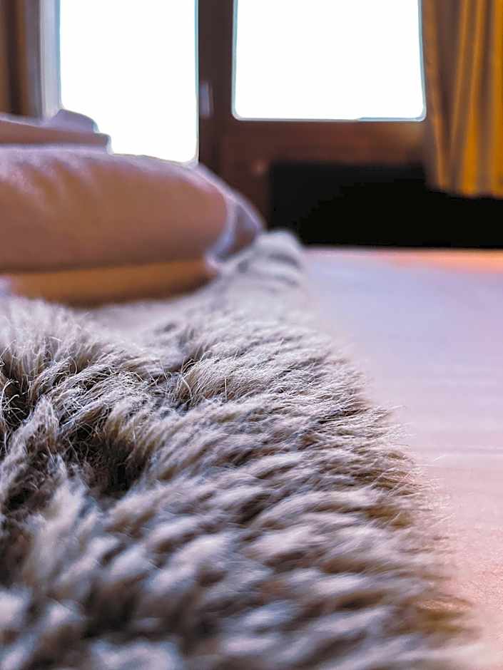 Chalet-Hôtel Les Rhodos