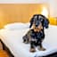 ibis Antwerpen Centrum