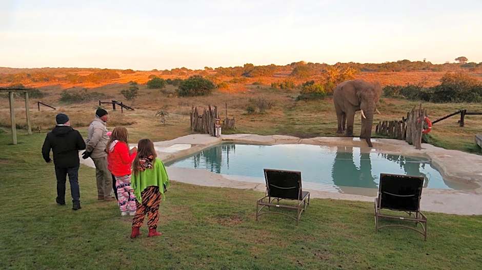 Hlosi Game Lodge - Amakhala Game Reserve