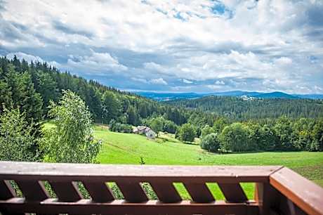Kocurzonka Apartamenty
