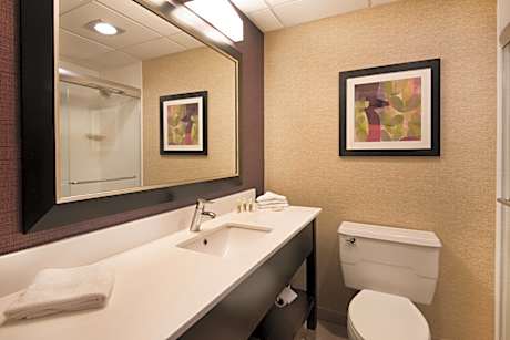 1 King Suite With Soaking Tub