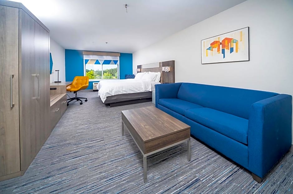 Holiday Inn Express and Suites Atlanta-Johns Creek