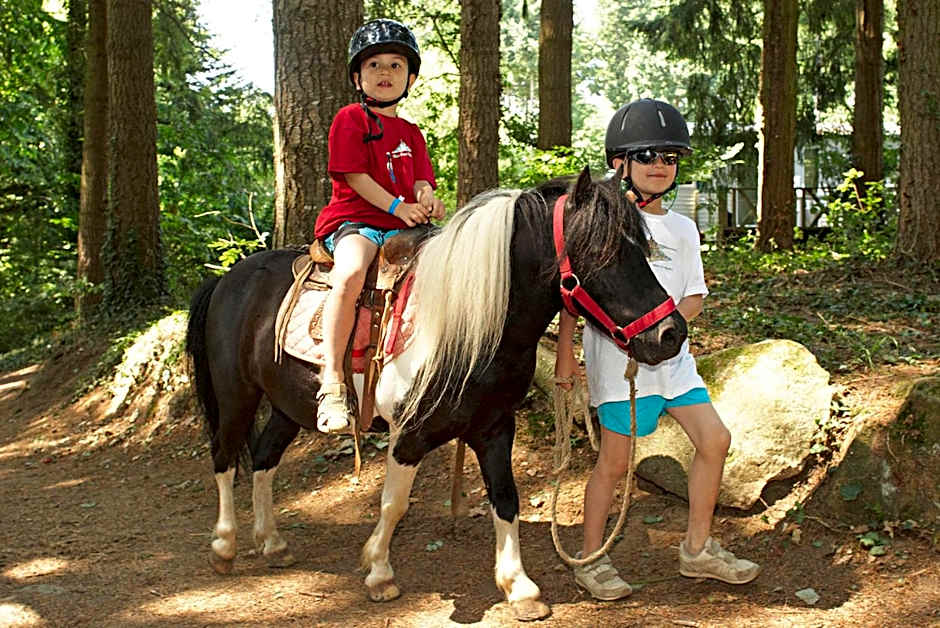 Insolites, Les Ormes, Epiniac