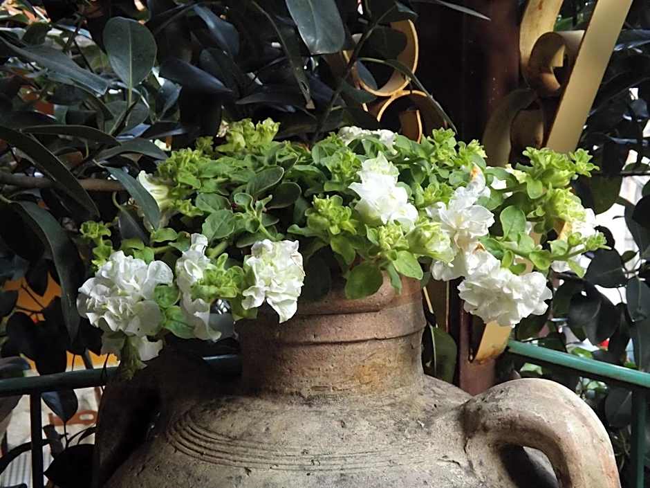 Albergo Diffuso Borgo Santa Caterina