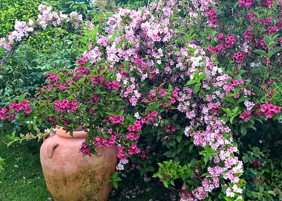 B&B Villa Giardini Susanna