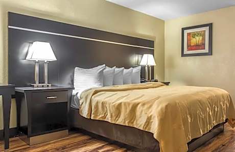 1 King Bed Nonsmoking Accessible