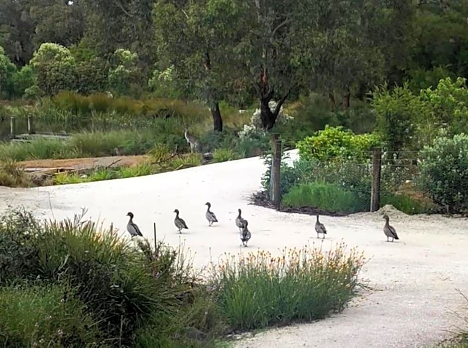 Messmates Luxury Eco Suites