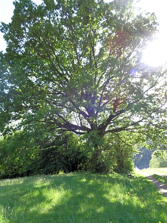 Frühstückspension Irmer