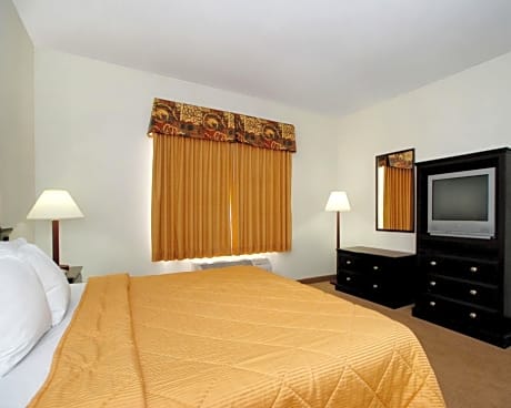 1 King Bed Nonsmoking