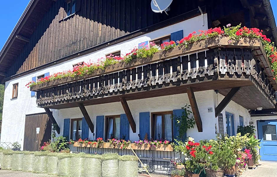 Nagelfluhhaus Hirsch
